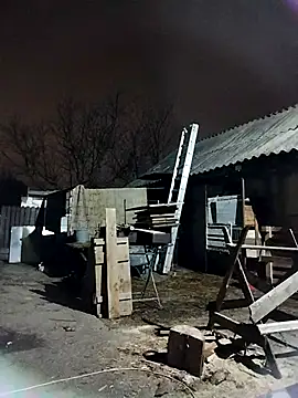 sarpe4 online show from November 7, 2025, 5:06 pm