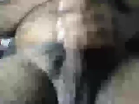 Jordy921 online show from February 3, 2026, 1:27 pm