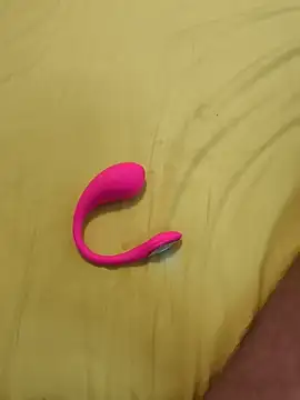 Bull8 online show from November 30, 2025, 11:38 pm