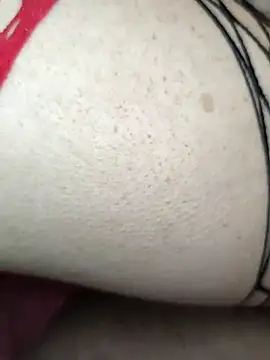 Bull8 online show from February 28, 2025, 2:31 pm