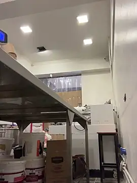 Gatitacarlita online show from December 23, 2024, 6:26 pm