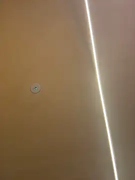 Gatitacarlita online show from November 26, 2025, 10:26 am