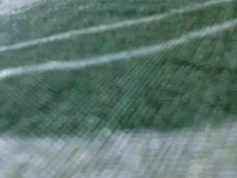 Damita999 online show from March 19, 2025, 4:14 am