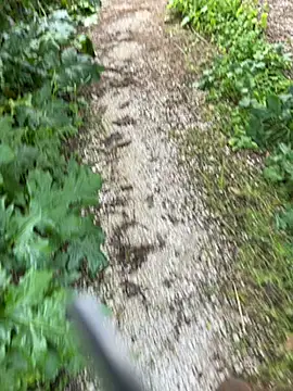 curcuro online show from March 28, 2026, 3:24 pm