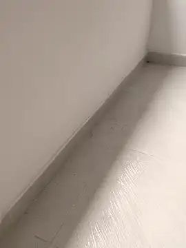 Snapshot of Business_dickkk chatting on February 15, 2025, 1:05 pm Business dickkk online show from February 15, 2025, 1:05 pm