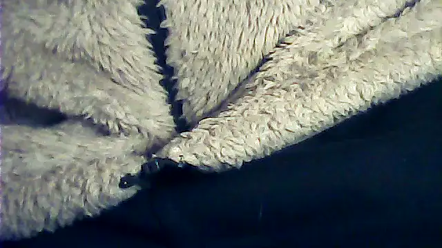 Snapshot of kalinixta chatting on January 6, 2026, 6:45 pm kalinixta online show from January 6, 2026, 6:45 pm