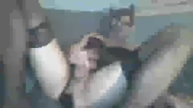 Snapshot of chceciedalsiebie chatting on February 3, 2026, 2:53 am chceciedalsiebie online show from February 3, 2026, 2:53 am