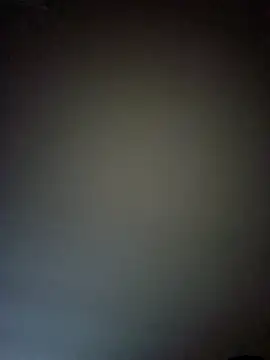 NiceHunter89 online show from February 26, 2025, 8:50 am