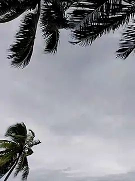 Luna-Natural online show from November 29, 2025, 5:24 pm