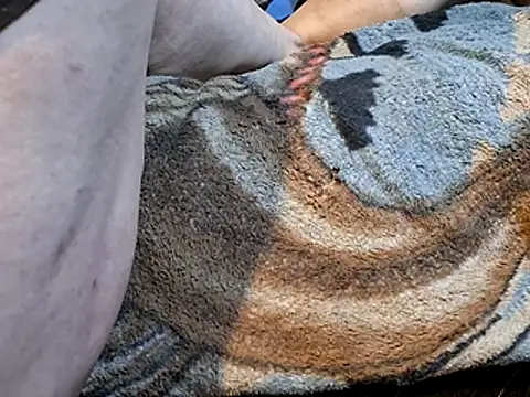 Snapshot of bobbybullit chatting on November 20, 2025, 6:58 am bobbybullit online show from November 20, 2025, 6:58 am