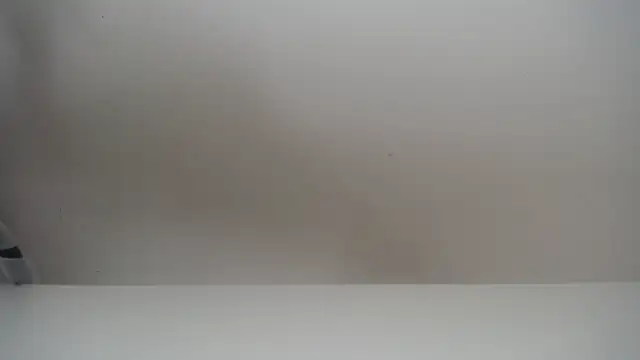 salomecastro  online show from November 19, 2025, 6:30 pm