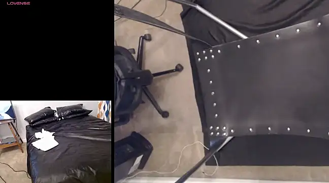 njdbear online show from December 7, 2024, 2:03 am