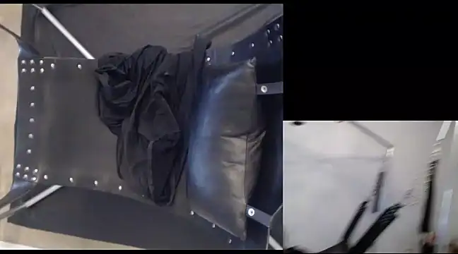 njdbear online show from December 22, 2024, 9:53 pm