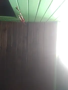 Snapshot of Alvaro2017 chatting on February 22, 2026, 6:31 pm Alvaro2017 online show from February 22, 2026, 6:31 pm