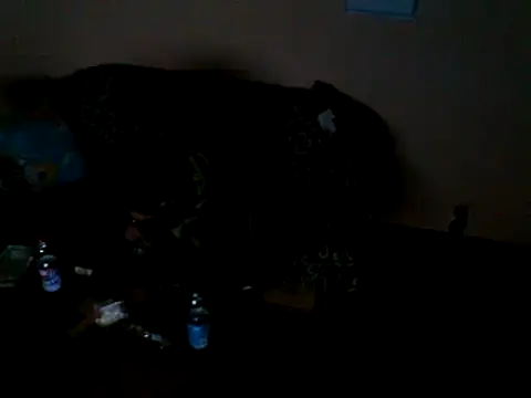 ZDRAVKICH online show from December 23, 2024, 4:12 am