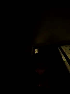 tropikboy online show from November 8, 2025, 12:47 am