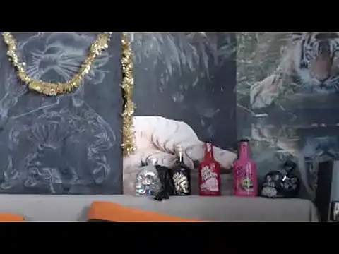 viking 30 online show from February 20, 2026, 6:48 am