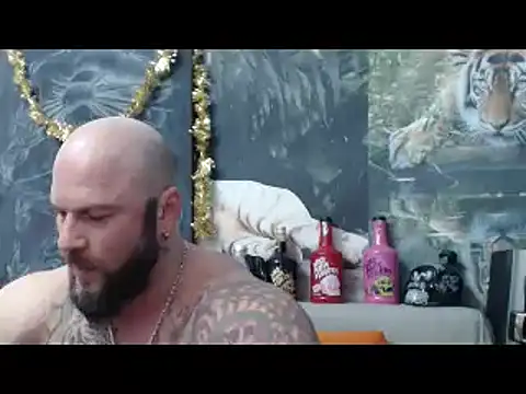 viking 30 online show from February 11, 2026, 7:47 pm