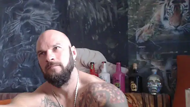 viking 30 online show from October 27, 2025, 7:42 am