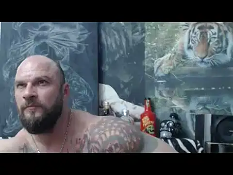 viking 30 online show from April 17, 2026, 6:11 pm