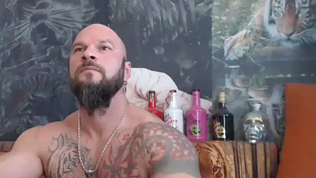 viking 30 online show from September 23, 2025, 10:33 am