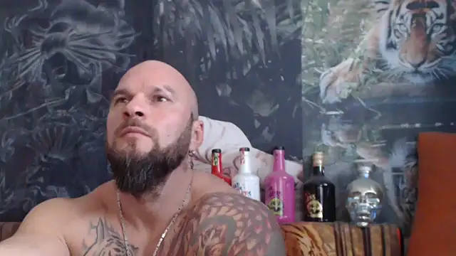 viking 30 online show from November 5, 2025, 8:17 am