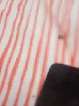 MRbigc23 online show from May 31, 2026, 3:07 pm