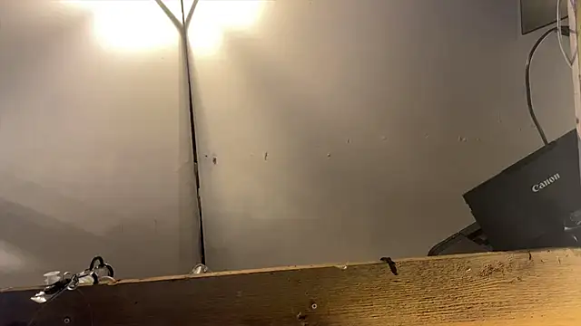 xdresserwithass online show from February 26, 2026, 6:46 am