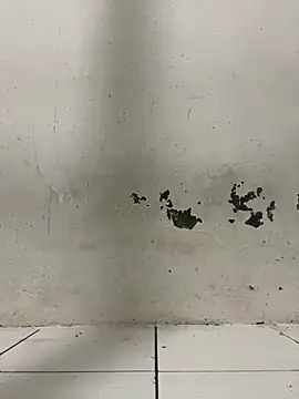 ditiya18 online show from February 24, 2025, 1:42 pm