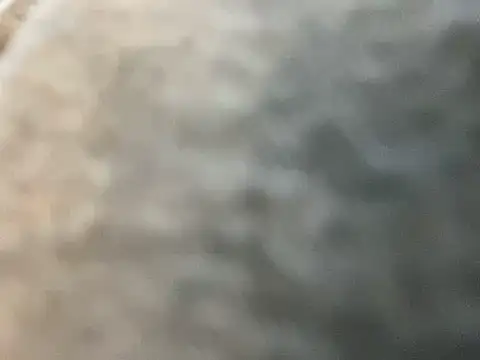 Snapshot of Prettyboiflaco chatting on February 13, 2025, 11:28 am Prettyboiflaco online show from February 13, 2025, 11:28 am