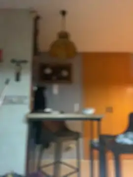 camelia3 online show from February 25, 2026, 12:44 am