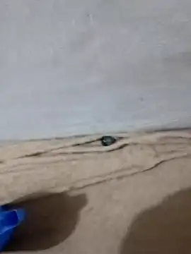 Galahot7 online show from December 9, 2024, 6:01 am