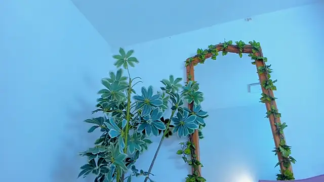 NinaWong online show from February 26, 2026, 7:03 pm