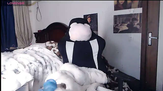 candy cola online show from November 13, 2025, 11:14 am