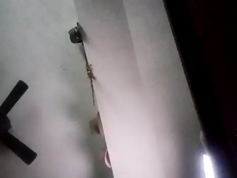 PrinceNoAlbert online show from November 13, 2025, 10:02 pm