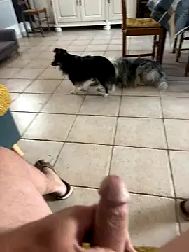 Loul41 online show from November 2, 2025, 2:55 pm