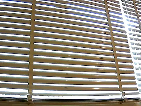 Snapshot of papiculo86 chatting on January 26, 2025, 2:41 pm papiculo86 online show from January 26, 2025, 2:41 pm