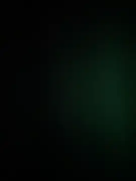 waspy online show from December 4, 2025, 11:31 am