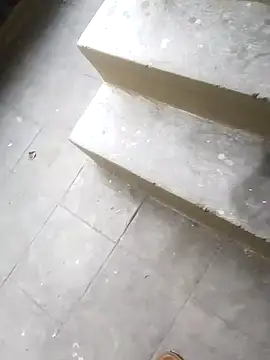 rameshmry1 online show from January 16, 2025, 1:48 am