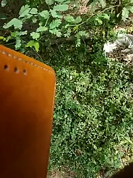 rameshmry1 online show from January 7, 2026, 5:01 am