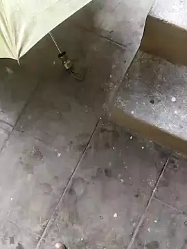 rameshmry1 online show from December 12, 2024, 8:14 am