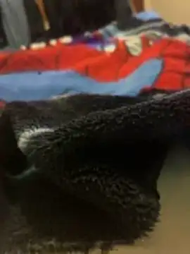 Red Foxxx25 online show from November 27, 2025, 1:50 am