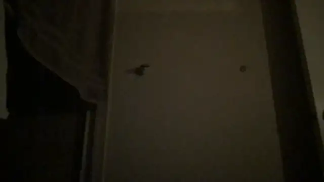 BigGuyMuscle online show from April 4, 2026, 4:08 am