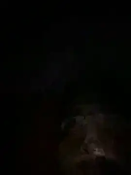 Snapshot of Eslam222s chatting on March 14, 2026, 12:05 am Eslam222s online show from March 14, 2026, 12:05 am