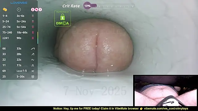 Snapshot of controlmytoys chatting on November 7, 2025, 9:19 pm controlmytoys online show from November 7, 2025, 9:19 pm