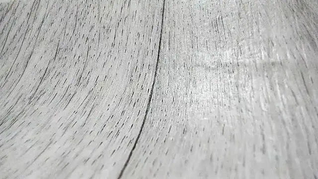 LittleSonya online show from December 15, 2025, 4:57 pm