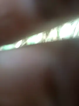 FinableKnee online show from November 21, 2025, 6:34 am