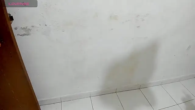 Snapshot of dilmi-umesha chatting on February 9, 2026, 5:11 pm dilmi-umesha online show from February 9, 2026, 5:11 pm