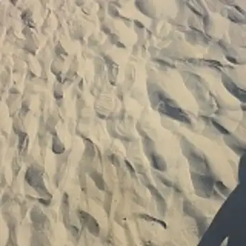 Snapshot of Trucker_Hunter chatting on October 26, 2025, 3:45 pm Trucker Hunter online show from October 26, 2025, 3:45 pm