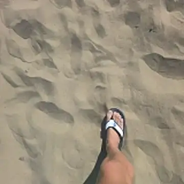 Snapshot of Trucker_Hunter chatting on February 8, 2026, 11:41 am Trucker Hunter online show from February 8, 2026, 11:41 am